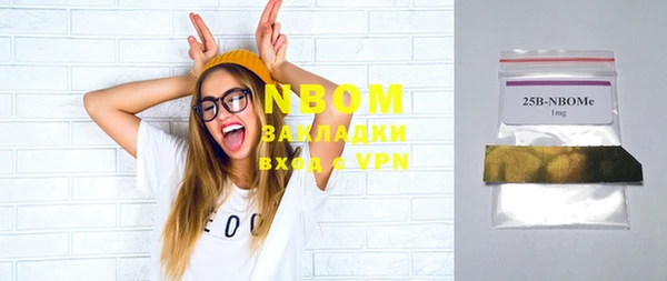 Альфа ПВП Бородино