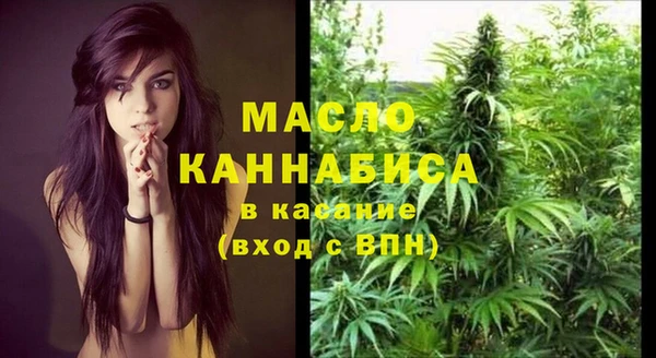 Альфа ПВП Бородино