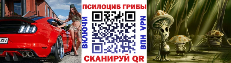 Купить закладки  Лениногорск  Псилоцибиновые грибы Psilocybe 